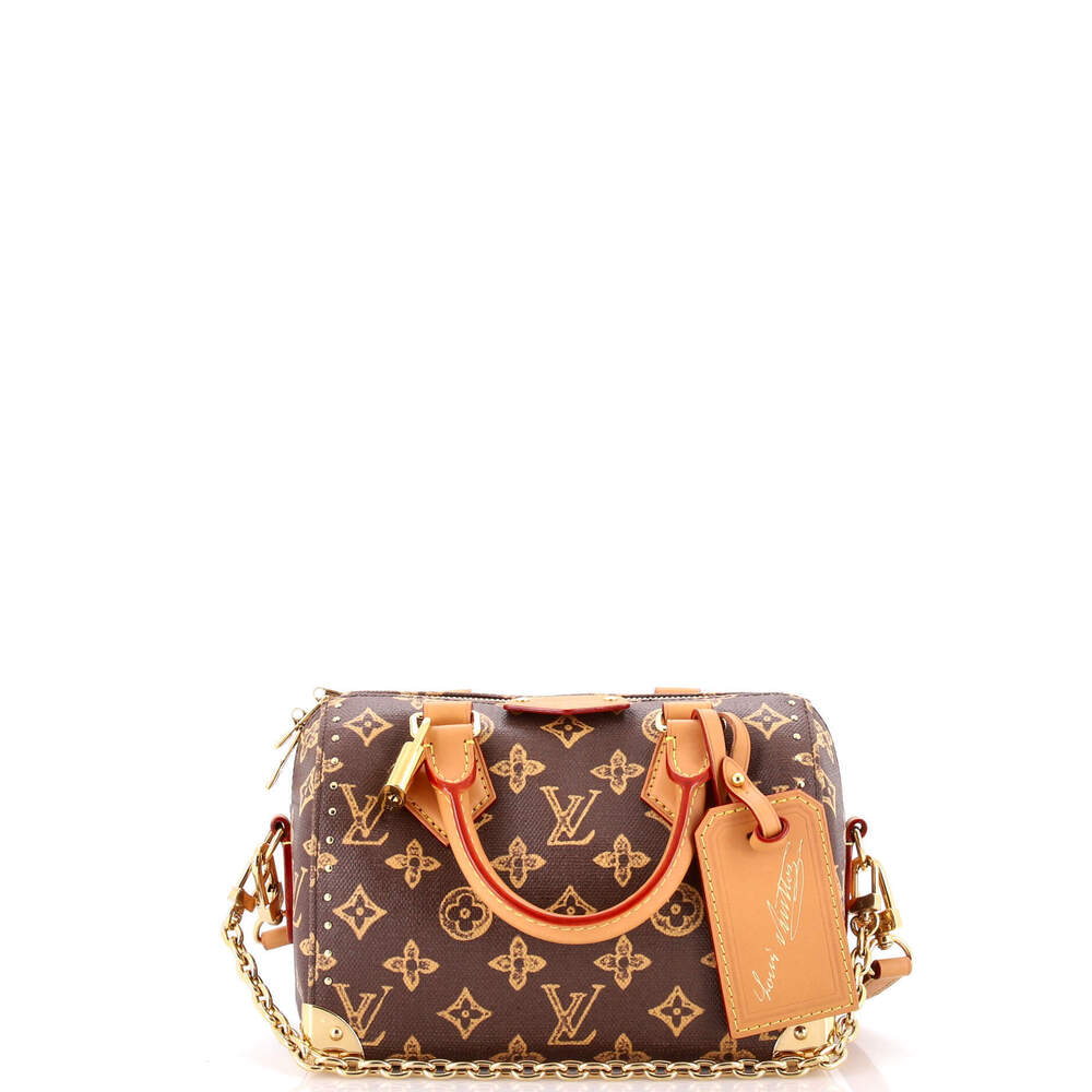 Louis Vuitton 20 Speedy Trunk Bag